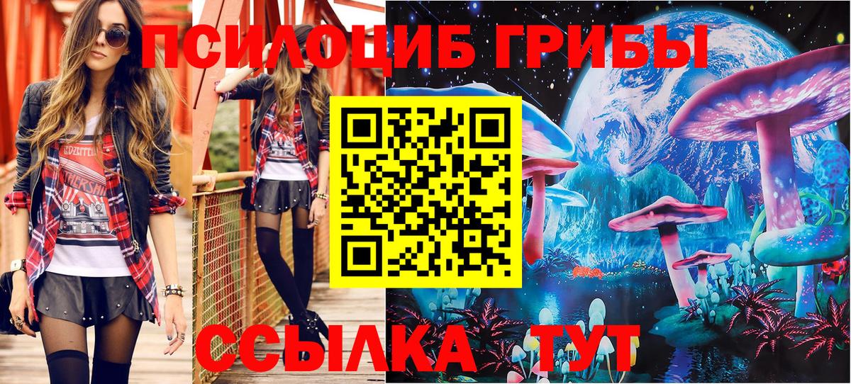 Псилоцибиновые грибы Psilocybe  Вход с VPN  Александров 
